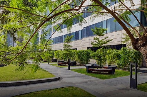 A scenic pathway surrounded by lush greenery, leading to the modern office buildings of Candor TechSpace, Sector 135, Noida. The trees and landscaping provide a peaceful and serene environment