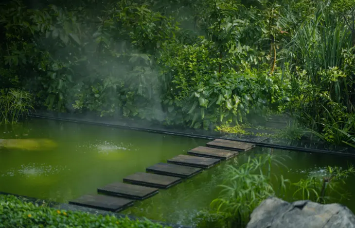 A stunning aerial view of a lush green forest with a circular patch in the middle, surrounded by dense foliage and soft clouds