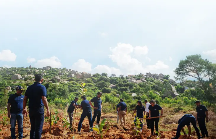 A group of people planting trees outdoors in a scenic, rocky landscape as part of an environmental initiative